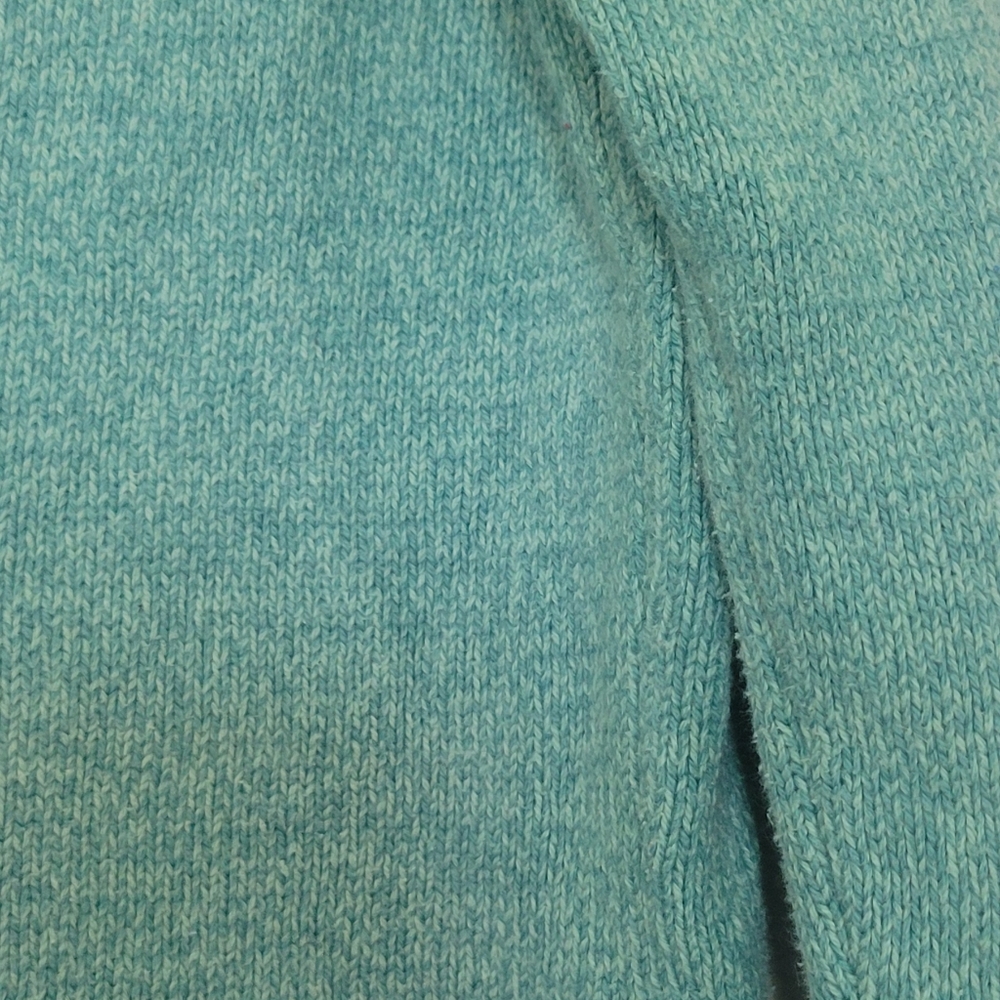 Pretty Blue 🐢 🐢 🐢 - Picture 5 of 6